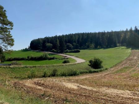 Vermessungsarbeiten Gemeindeverbindungsstraße Kastl - Utzenhofen bis Ende August